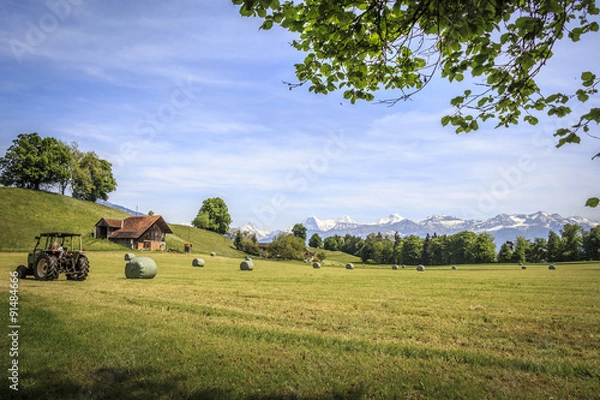 Fototapeta Berner Oberland