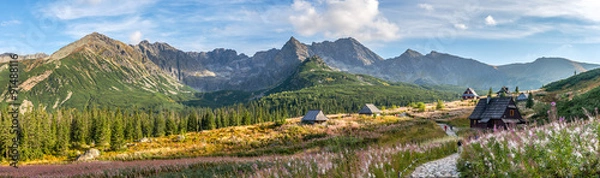 Fototapeta Hala Gasienicowa in Tatra Mountains - panorama