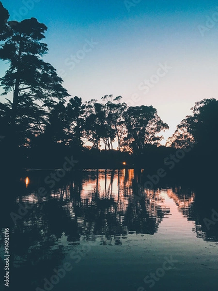 Fototapeta pond reflection