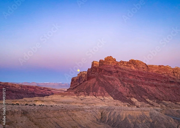 Obraz spotted wolf at sunset