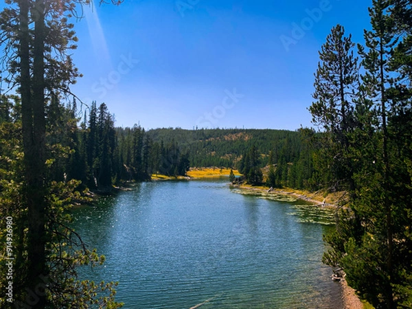Obraz yellowstone river