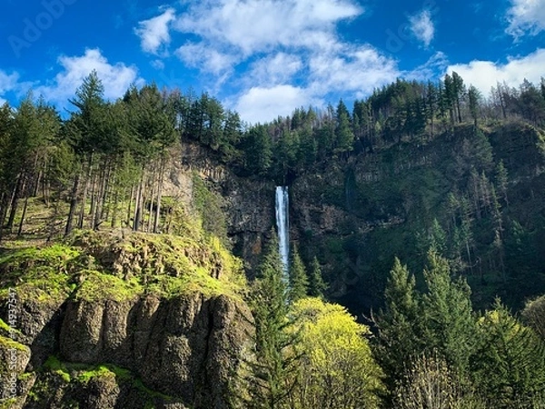 Obraz multonomah falls