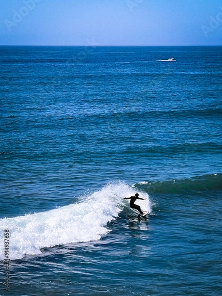 Obraz surfing the waves