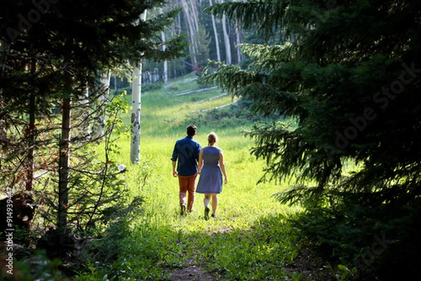 Obraz walking in the woods