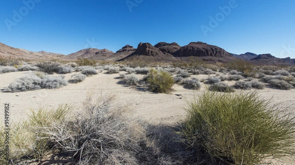 Obraz Mojave Desert