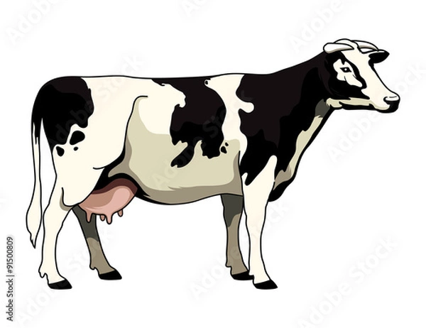 Obraz Holstein Cow