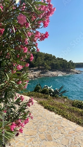 Fototapeta Summer hidden gem 