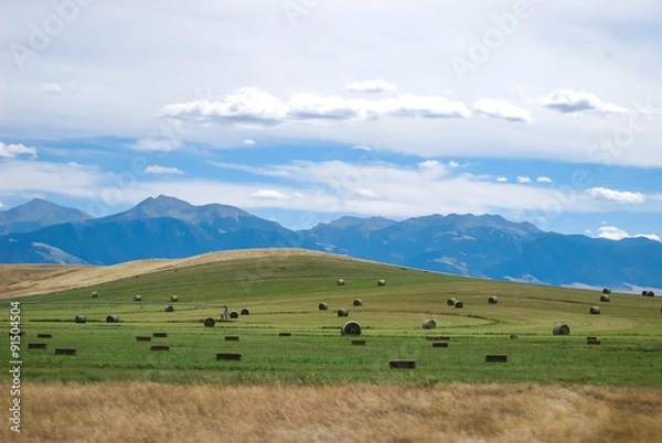 Obraz Montana hay field