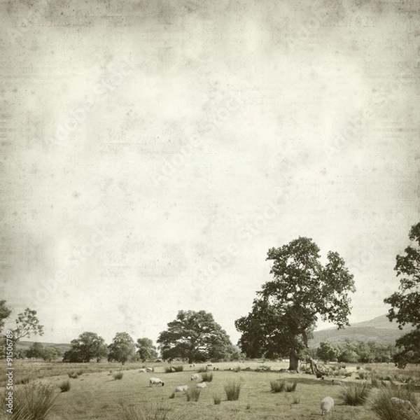 Fototapeta textured old paper background