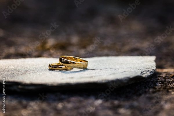 Obraz two rings on a rock pad