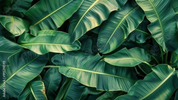 Fototapeta A close-up image showcasing a vibrant green tropical forest, focusing on the intricate textures and patterns of large, overlapping leaves. The rich green hues create a sense of tranquility and natural