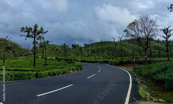 Obraz road in the forest