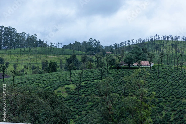 Obraz mountain landscape with trees