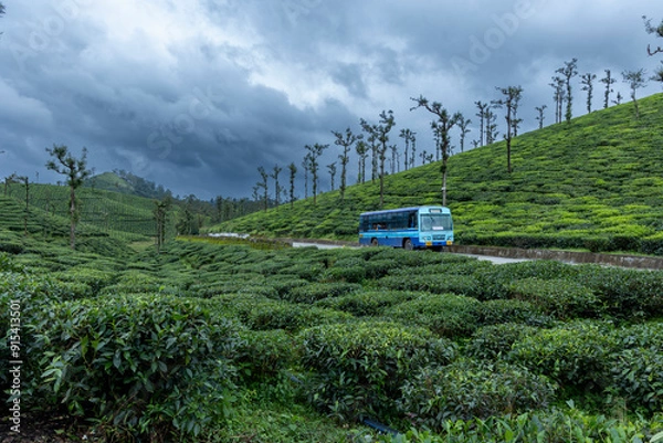 Obraz truck in the mountains