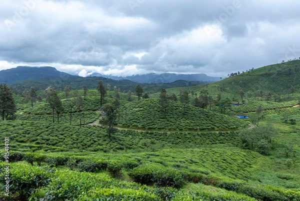 Obraz landscape of mountains