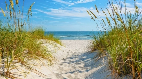 Fototapeta Seascape Pathway Through Dunes.