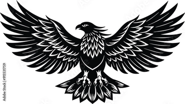 Fototapeta eagle with wings illustration