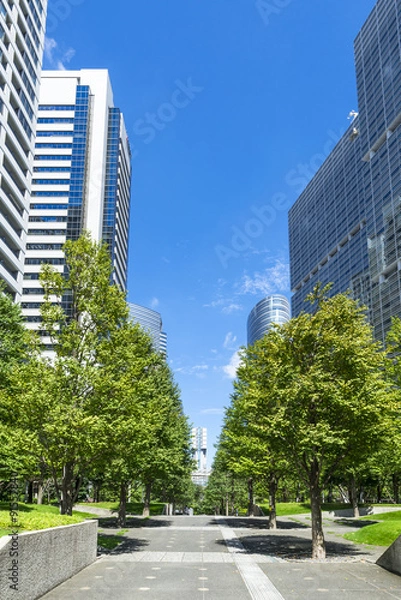 Fototapeta 品川セントラルガーデン