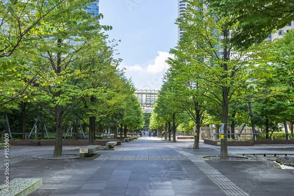 Fototapeta 品川セントラルガーデン