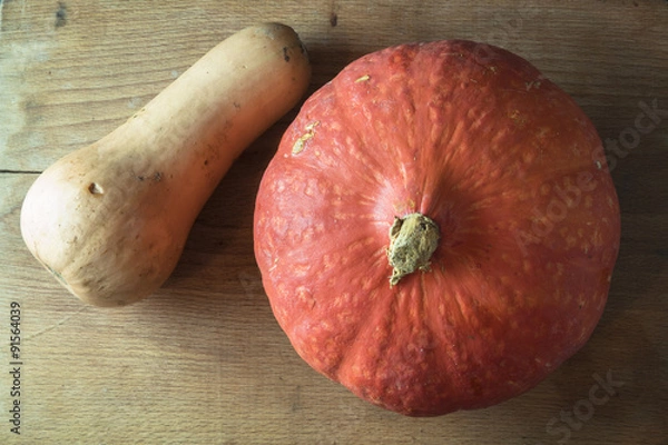 Obraz Légumes anciens de saison. Butternut et potimarron
