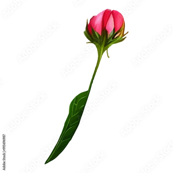 Fototapeta Single pink flower bud with green leaves.