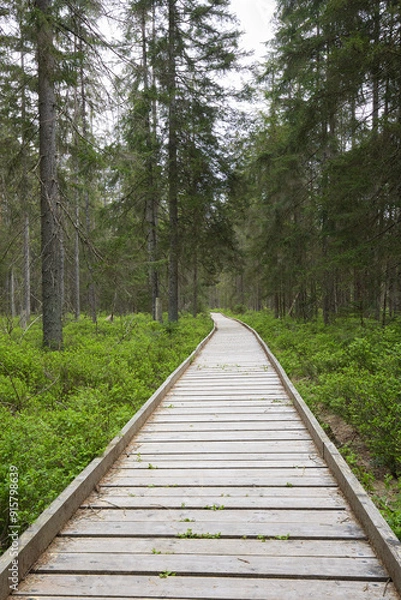 Obraz Wooden path through the forest.