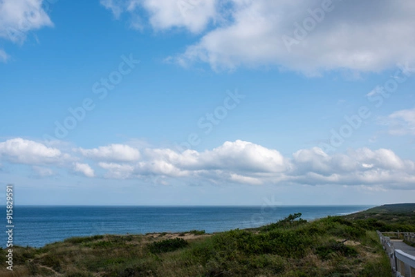 Obraz Cape Cod, Massachusetts ocean beaches