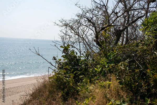 Obraz ocean side bluffs in cape cod Massachusetts