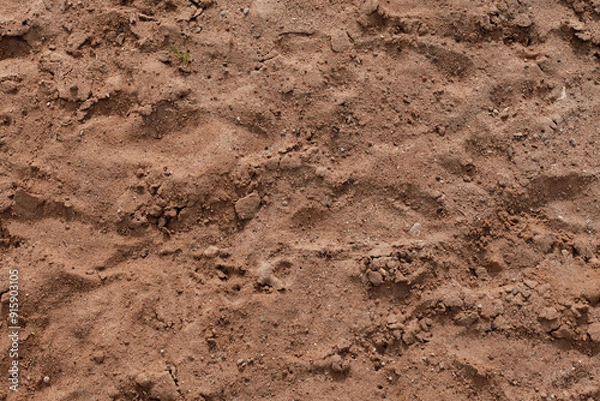 Fototapeta Background of beige, brown beach sand with natural pattern background. top view, flat lay