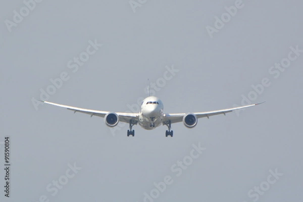 Obraz Dreamliner 787