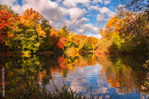 Fototapeta Jesienne kolory drzew odbite w lustrze wody