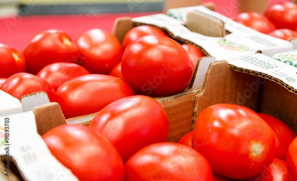 Fototapeta red tomatoes in a boxes