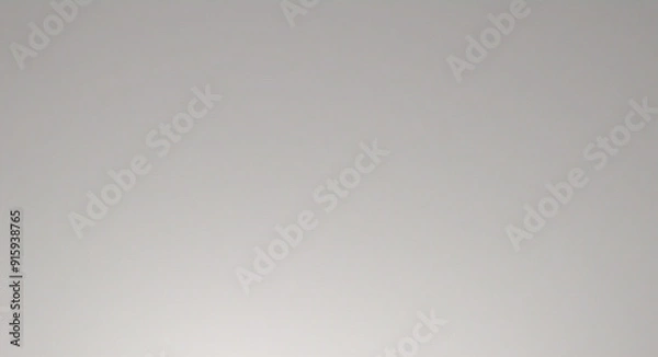 Fototapeta 白とグレーの線パターンまたはテクスチャを使用したエレガントな背景デザイン。ビジネスバナー、ポスター、背景、伝票、招待用の豪華な水平の白い背景。ベクトル図