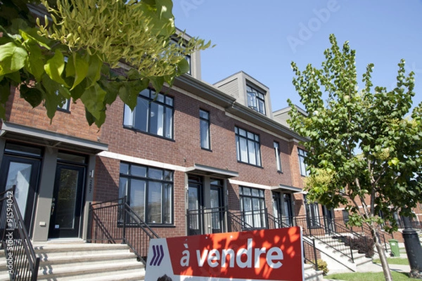 Obraz maison a vendre