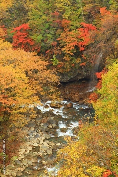 Fototapeta 松川渓谷　八幡平の紅葉