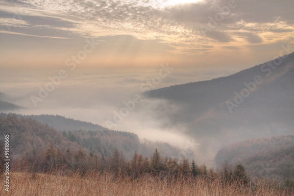 Obraz Fog in Valley