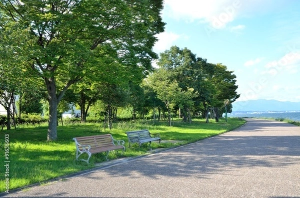 Obraz 大津湖岸なぎさ公園