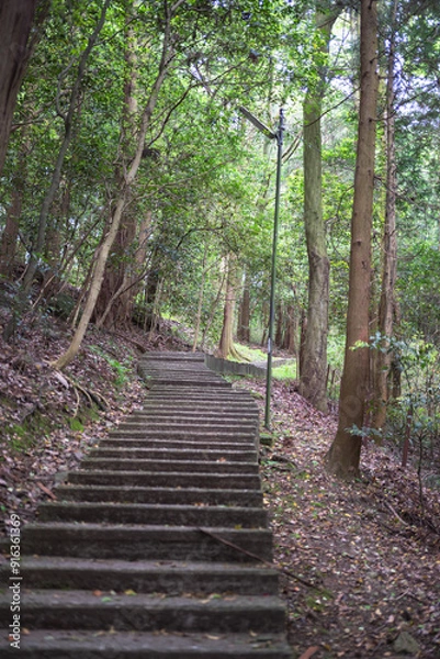 Fototapeta 山道の風景