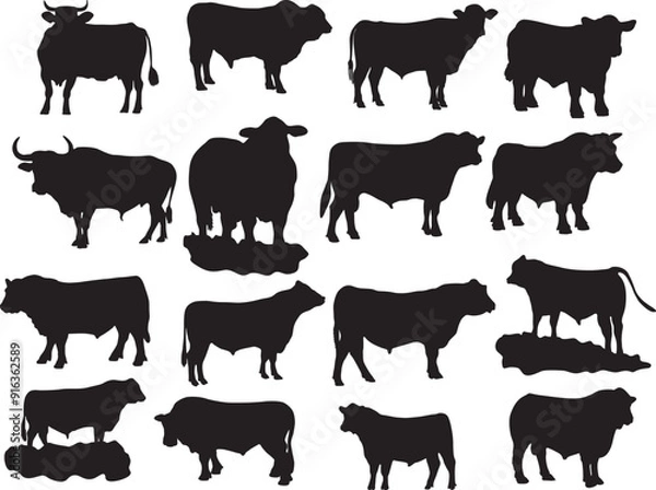 Fototapeta Print Angus Bull EPS;  Angus Bull Vector, Cricut file, EPS;  Silhouette, Cuttable Design,  Eps Designs; Angus Bull bundle