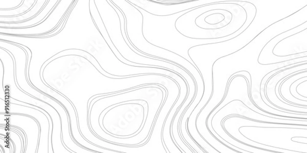 Fototapeta Abstract Topographic Line Pattern Banner Background, 
