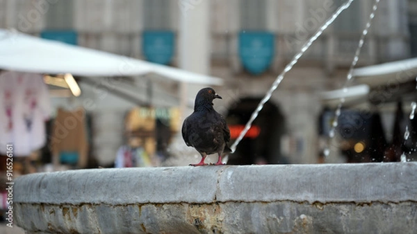 Obraz ITALY through my camera and lens