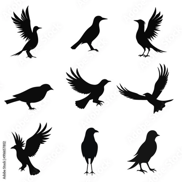 Obraz Bird's silhouettes vector illustration on a white background