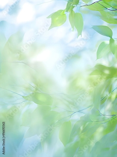 Fototapeta blue sky through green leaves of trees