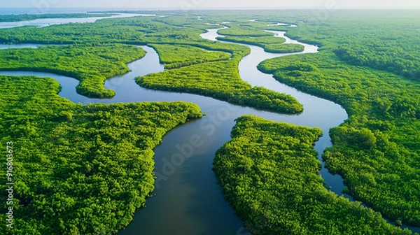 Fototapeta aerial_view_of_a_river_delta_with_lush