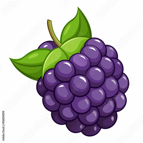 Fototapeta Cartoon Illustration of a Single Blackberry with Green Leaves