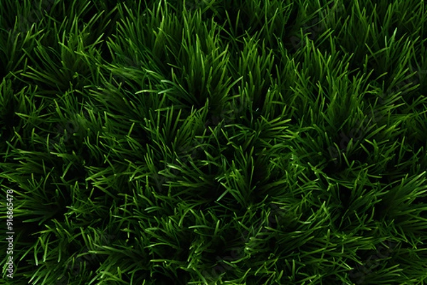 Fototapeta Grass Texture Background background illustration