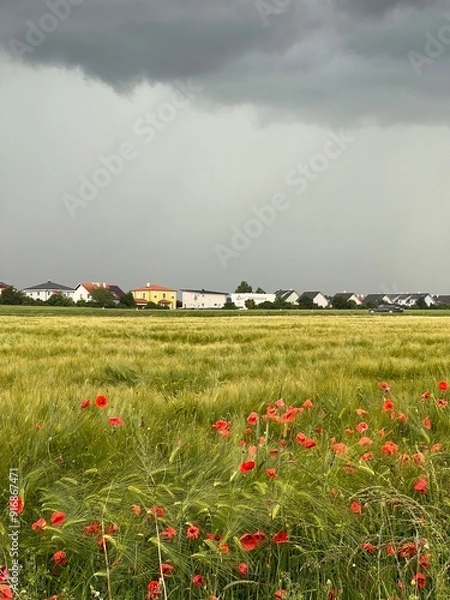 Obraz Cloudy sky and houses 