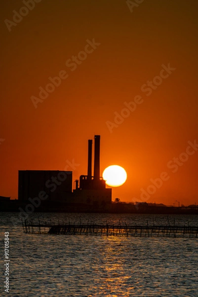 Obraz plant at sunset