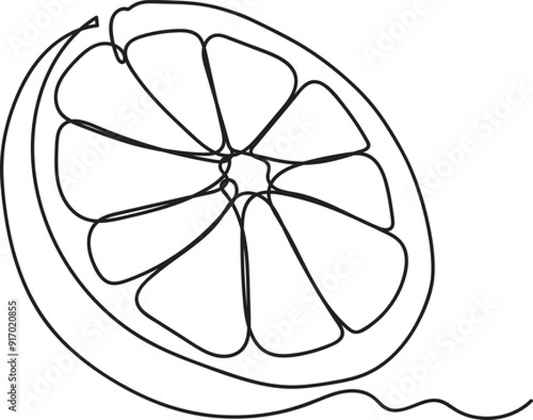 Obraz Orange Fruit Line Art 
