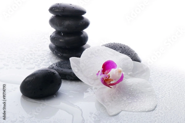 Fototapeta White Orchid and spa stones on a white background